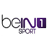 Bein Sports Tv en vivo